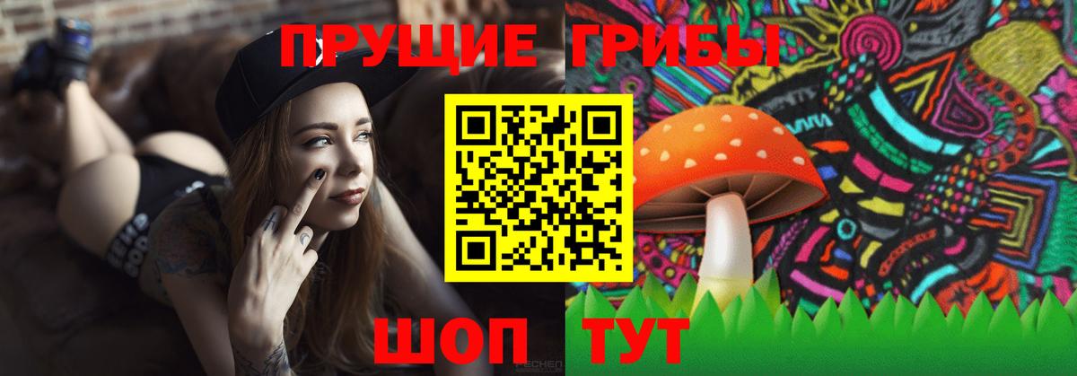 Псилоцибиновые грибы GOLDEN TEACHER Михайловск
